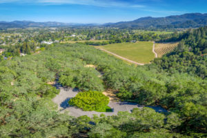 01 DJI_0168_Pano CROPPED EDITED- 2486SpringMountainRoad