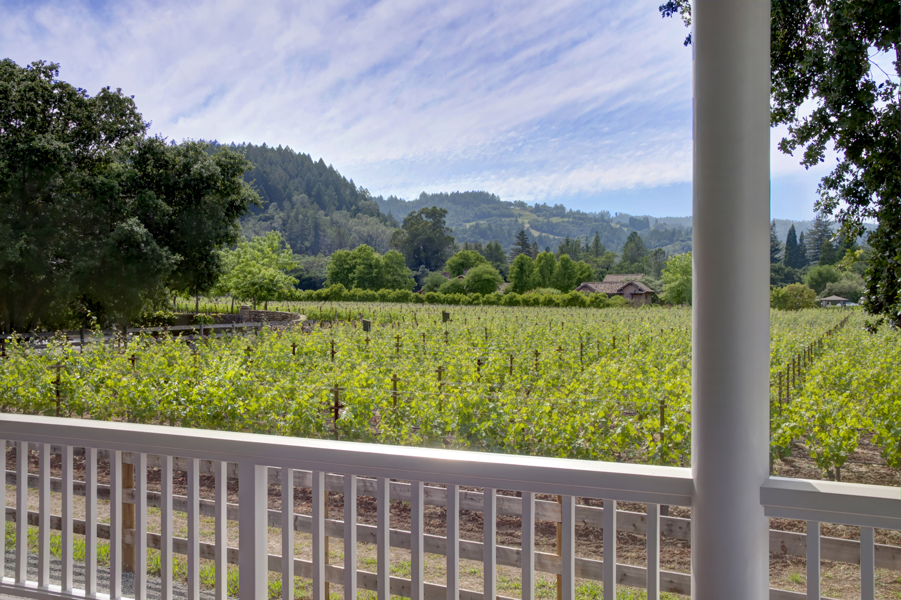 02 - _MG_5896adjustEDITED 1770 SCOTT