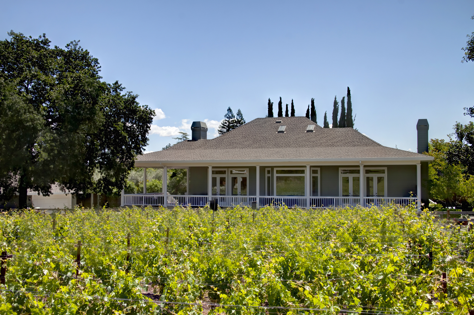 03 - _MG_5906adjustEDITED 1770 SCOTT