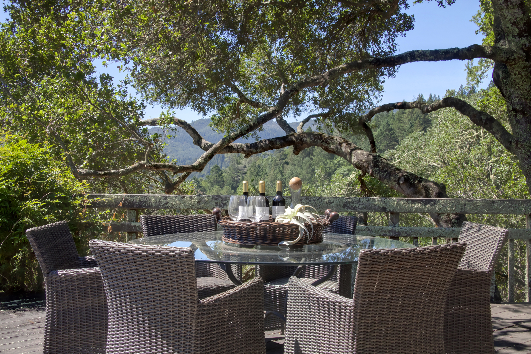 03 _MG_7069adjust- 2486SpringMountainRoad