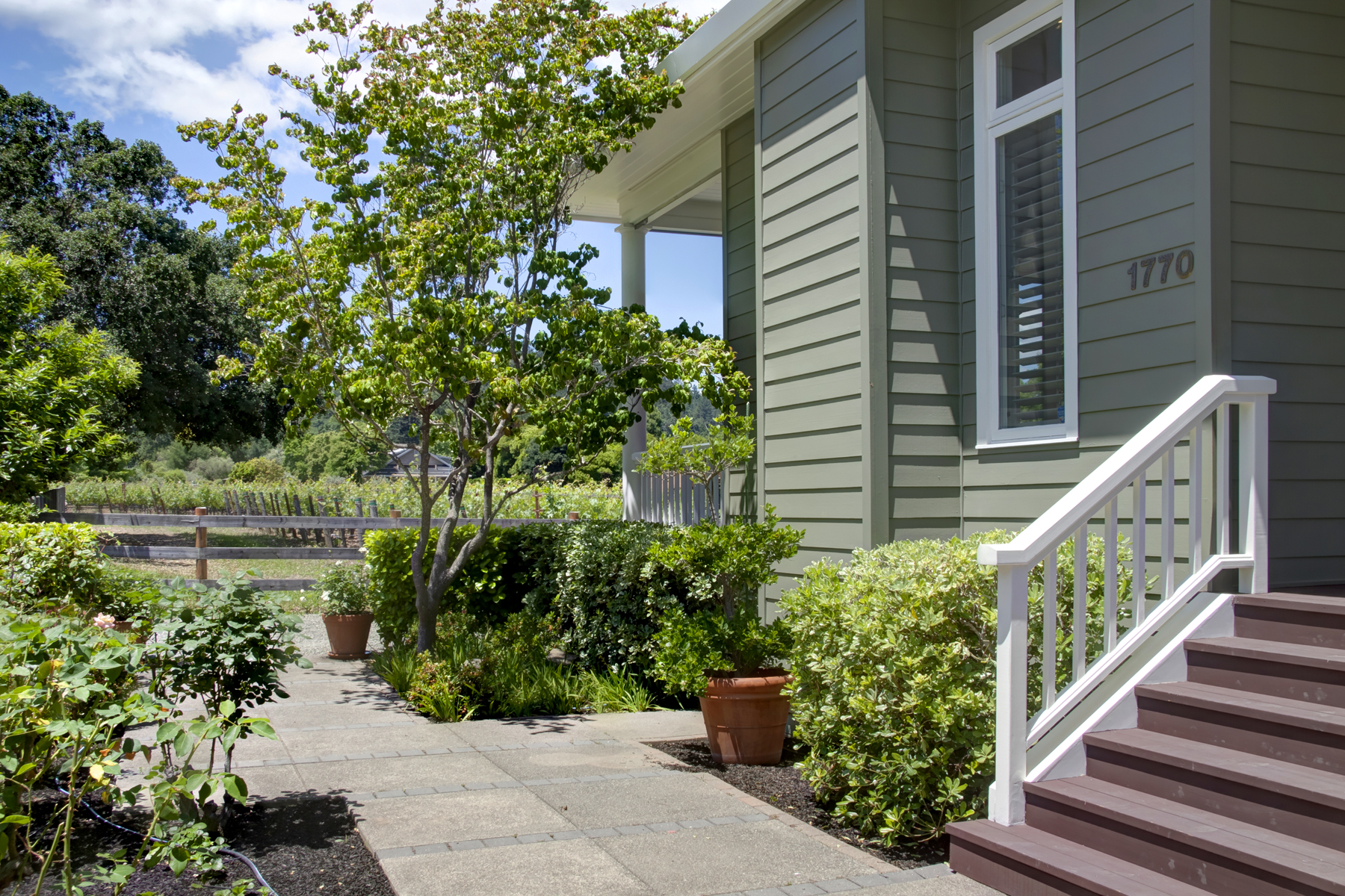 30 - _MG_6091adjustEDITED 1770 SCOTT