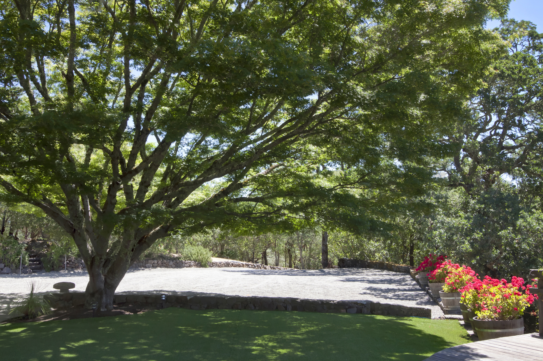 31 _MG_7110adjust- 2486SpringMountainRoad