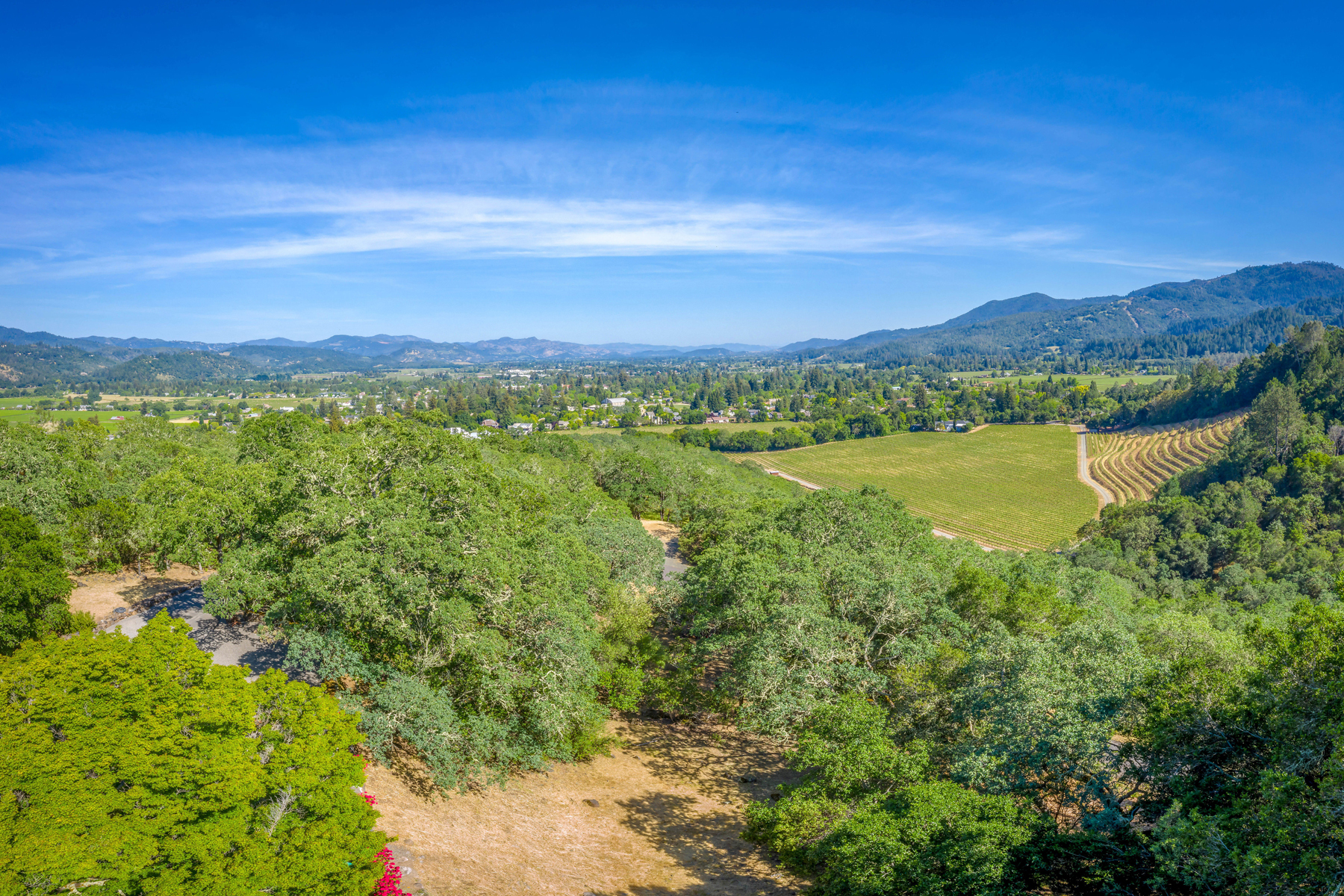 32a DJI_0204_Pano EDITED- 2486SpringMountainRoad