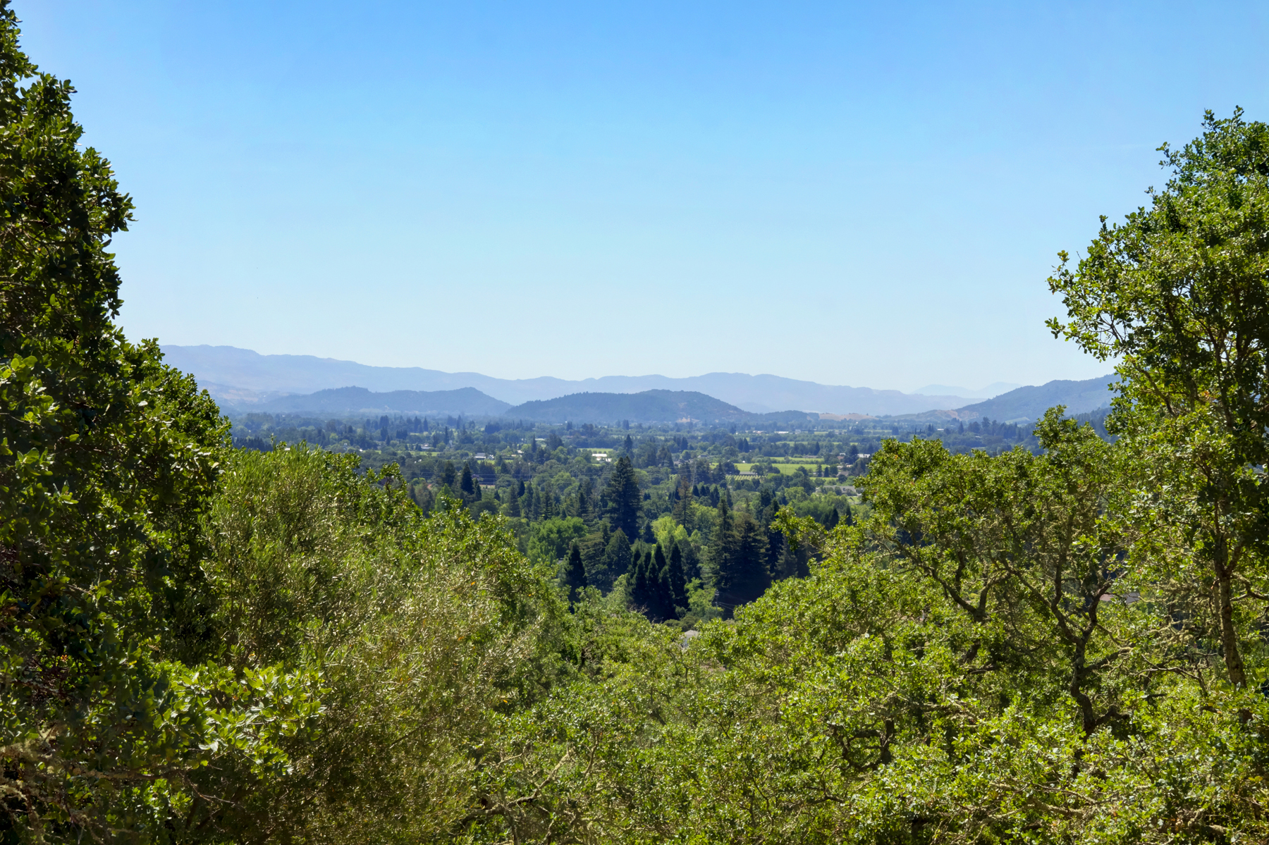 34 _MG_7080adjustEDIT- 2486SpringMountainRoad