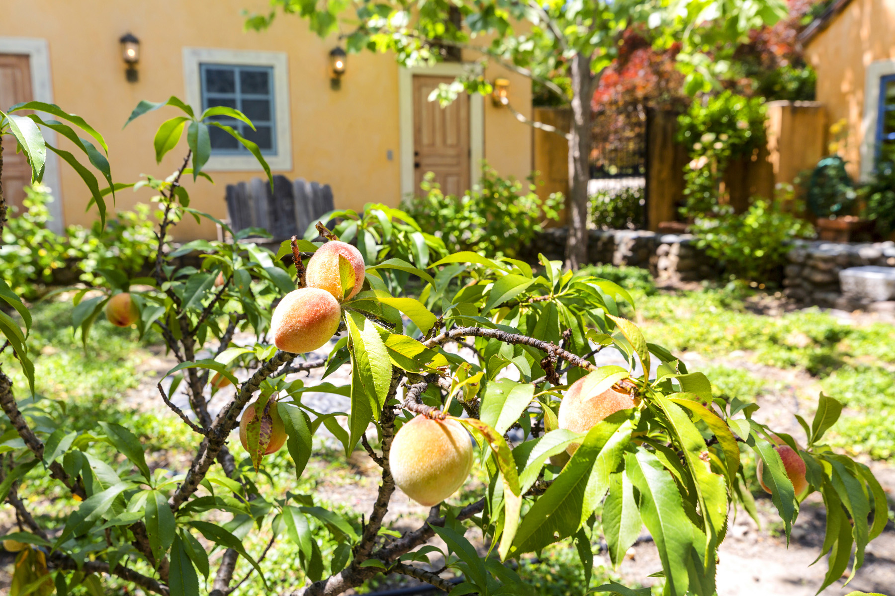 37 54EDITED 1700 DEAN YORK