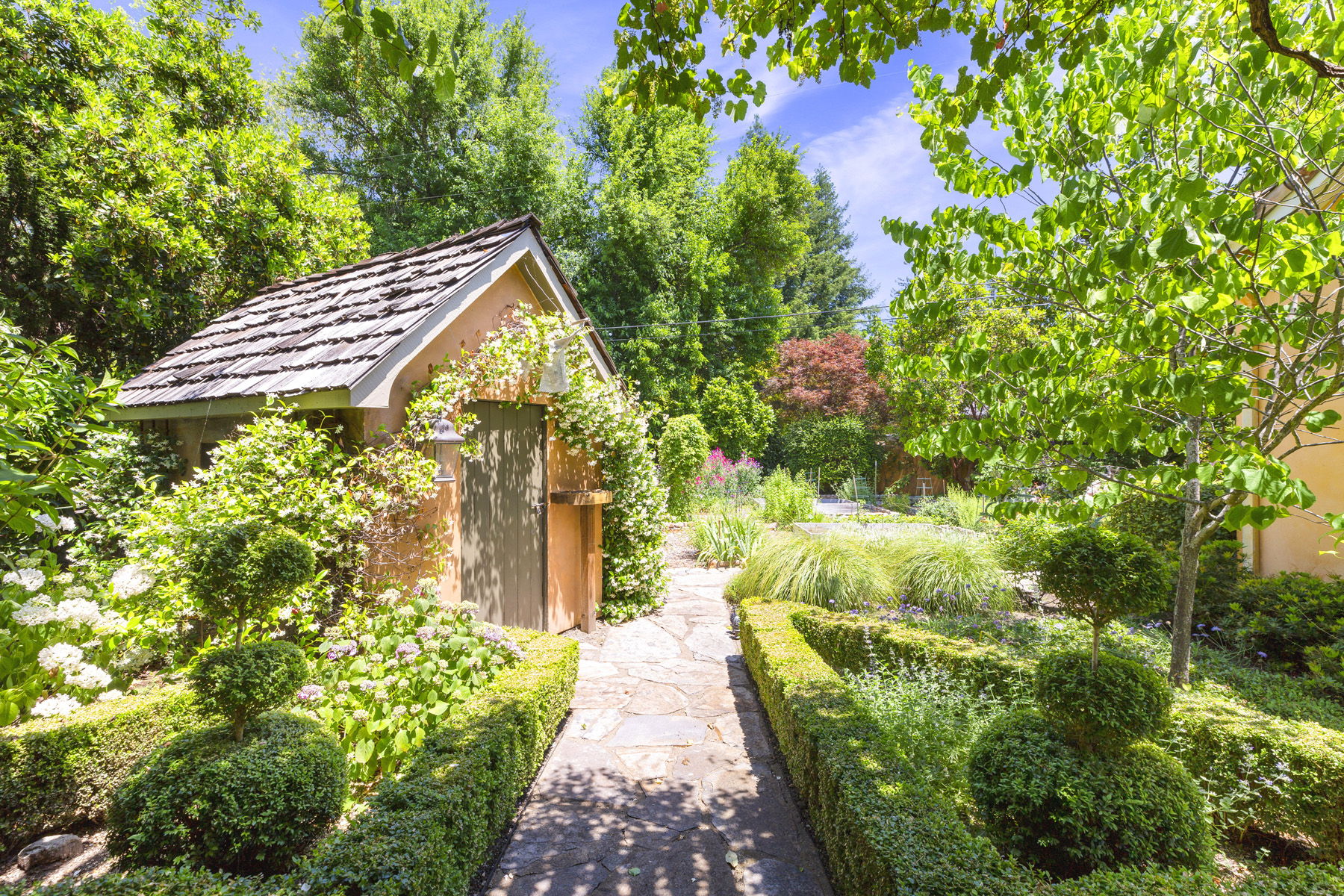 49 72EDITED 1700 DEAN YORK