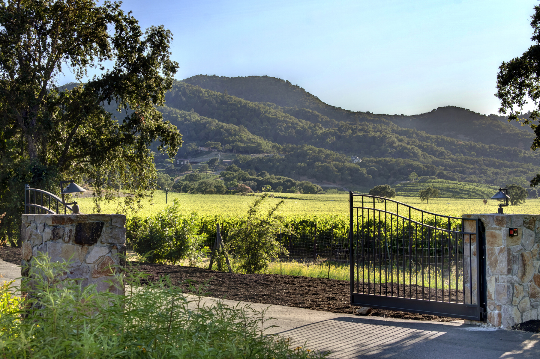 02 _MG_7873adjust6155_SOLANO