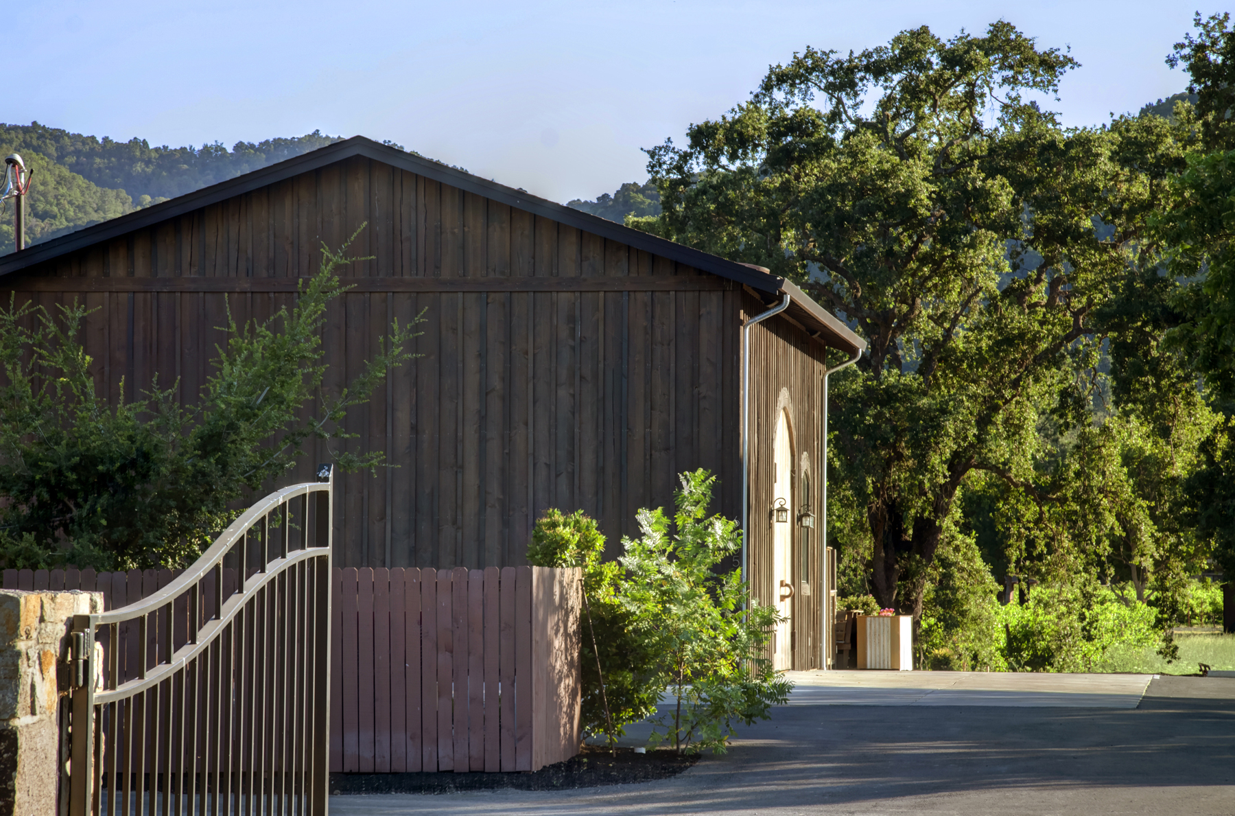 04 _MG_7868adjust6155_SOLANO