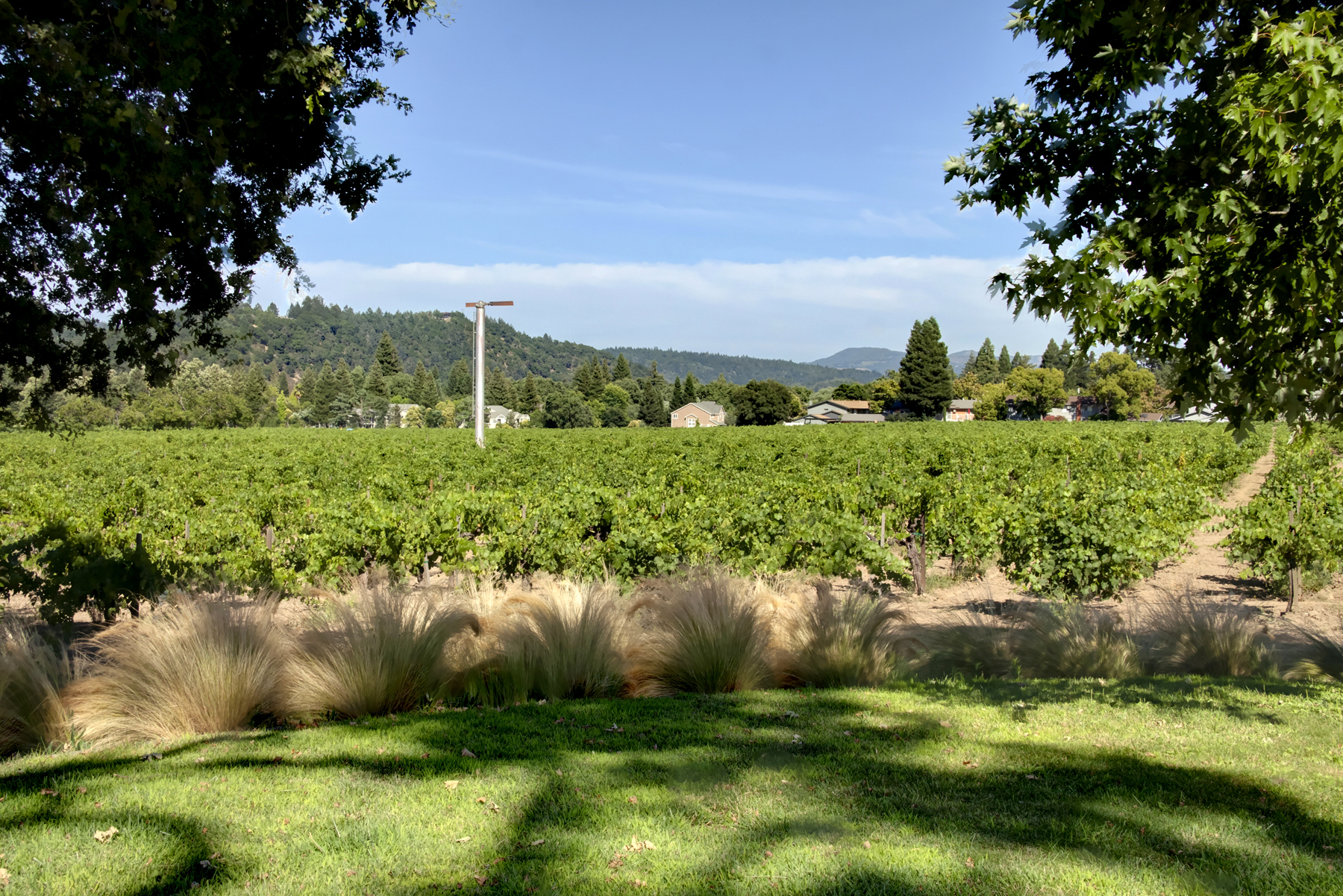 06 _MG_7604adjust825 FULTON LANE