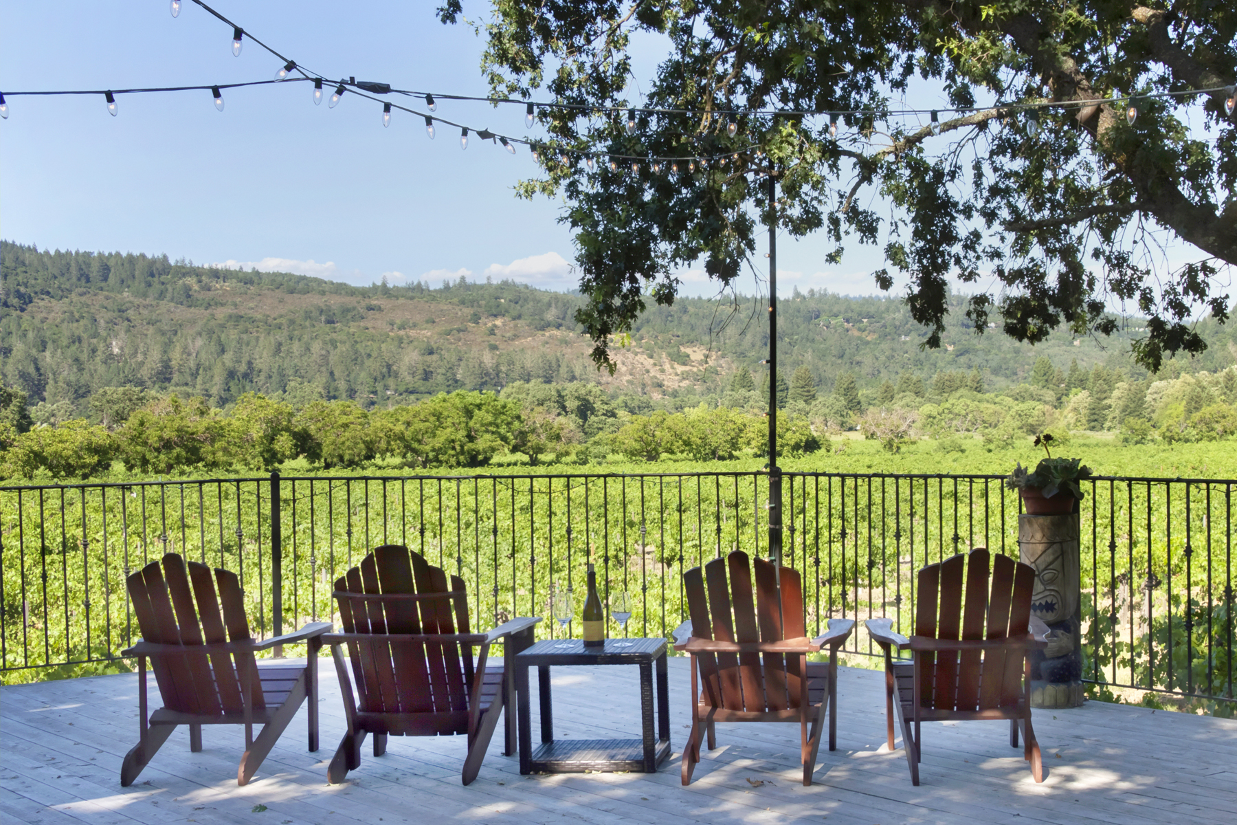 07 _MG_7635adjustEDITCROPPED825 FULTON LANE