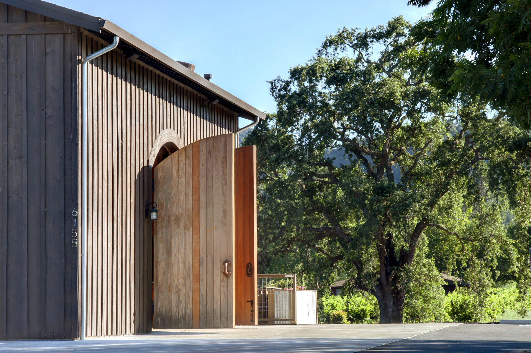 07 _MG_7722adjust6155_SOLANO