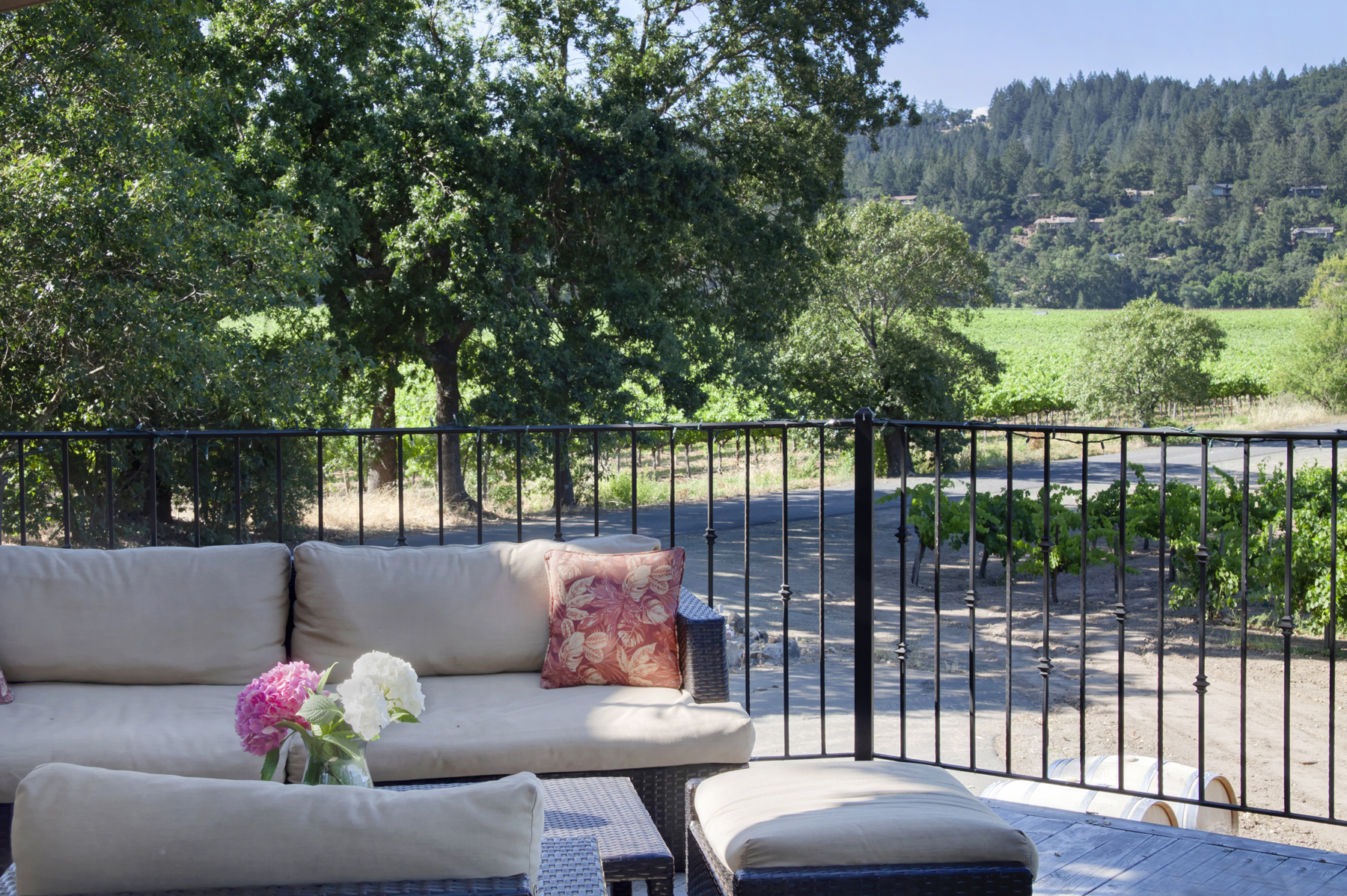 08 _MG_7640adjustEDIT825 FULTON LANE