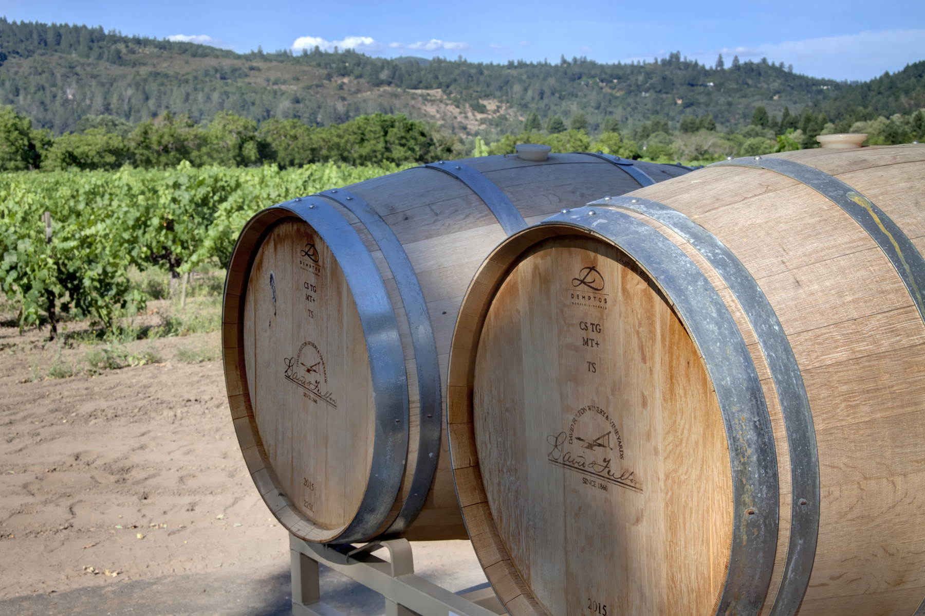 12 _MG_7659adjust825 FULTON LANE