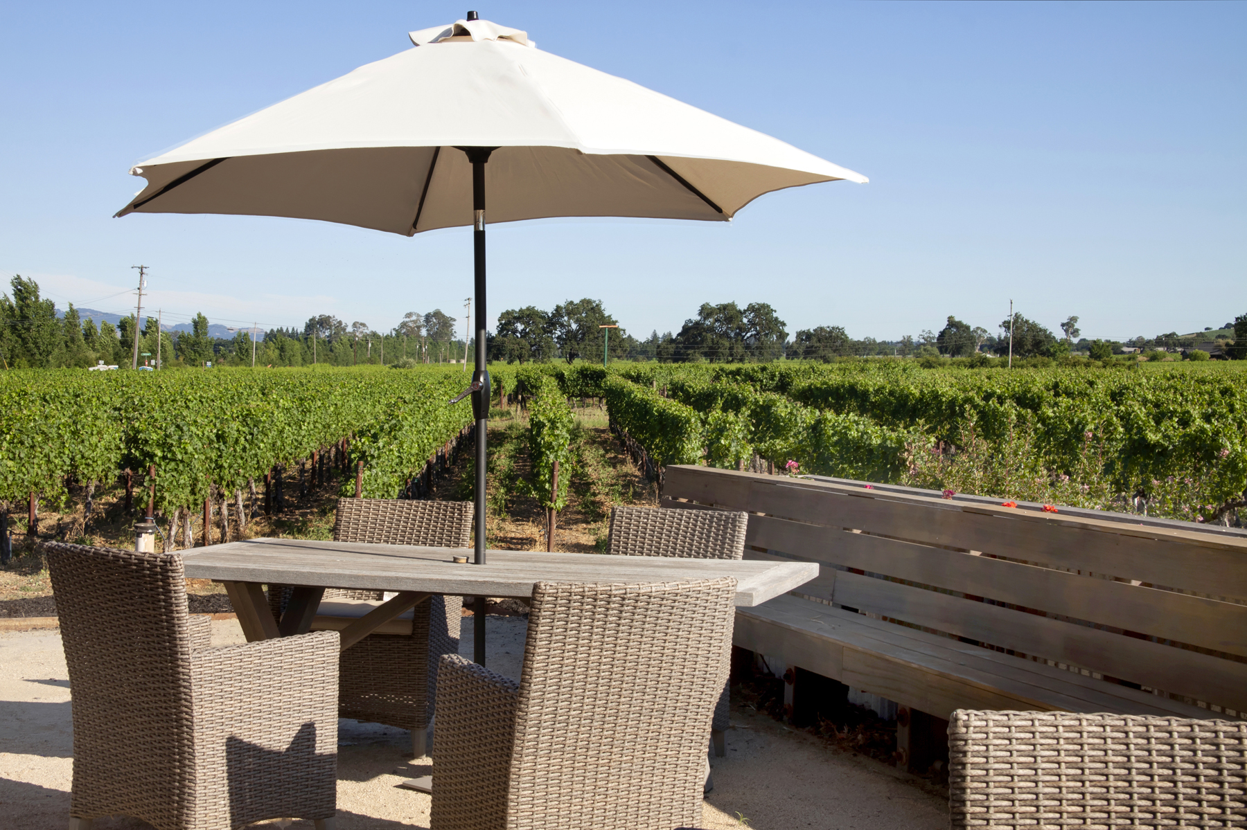 15 _MG_7737adjust copy6155_SOLANO