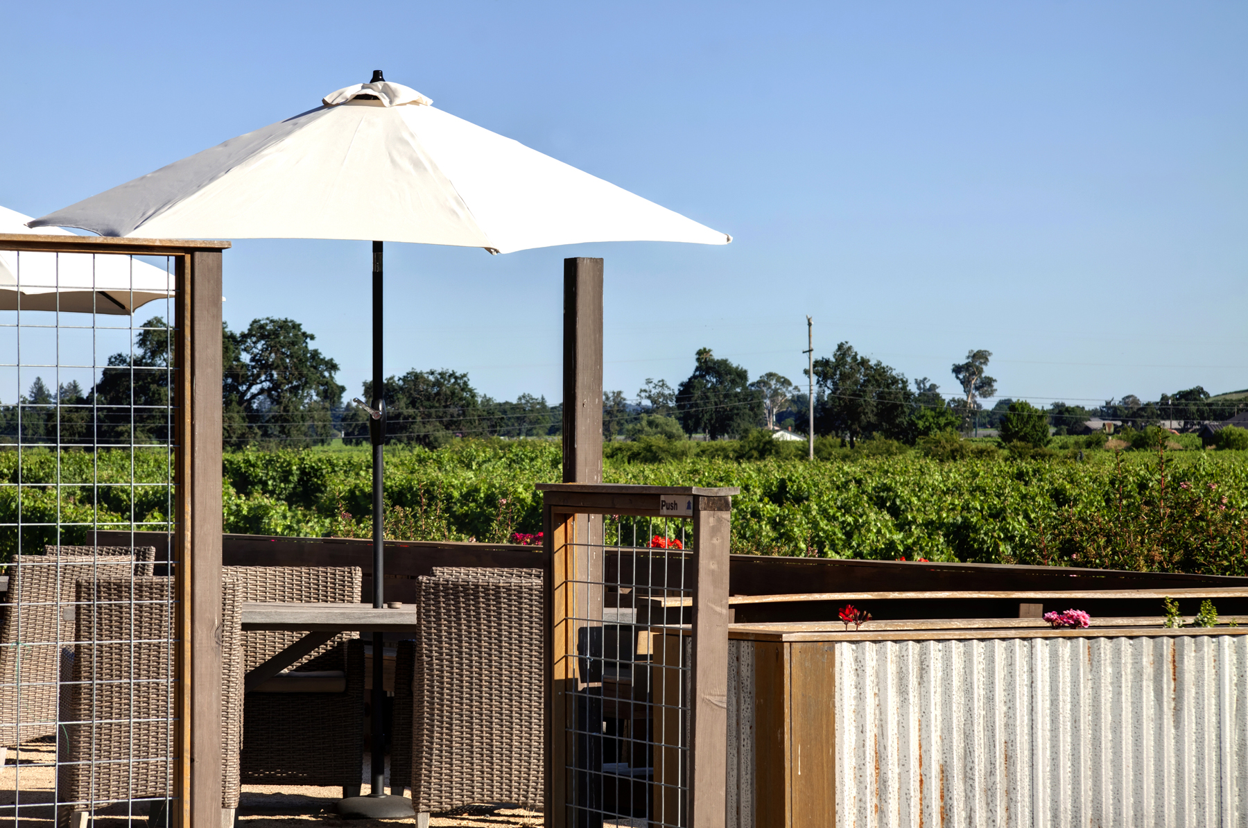 16 _MG_7732adjust6155_SOLANO