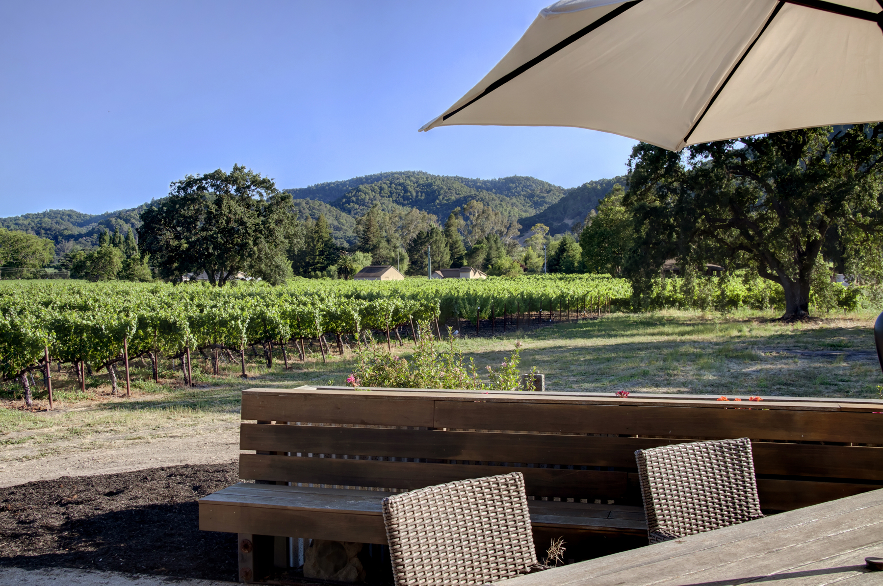 17 _MG_7742adjust6155_SOLANO