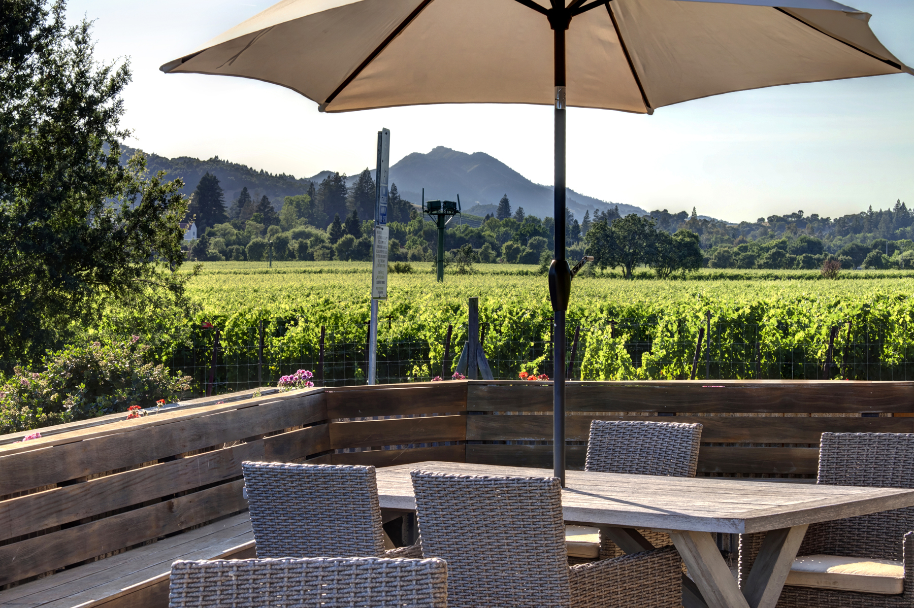 18 _MG_7808adjust6155_SOLANO