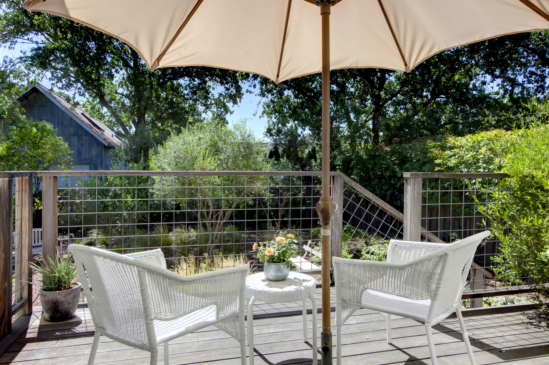 19 _MG_7448adjust1859_MADRONA