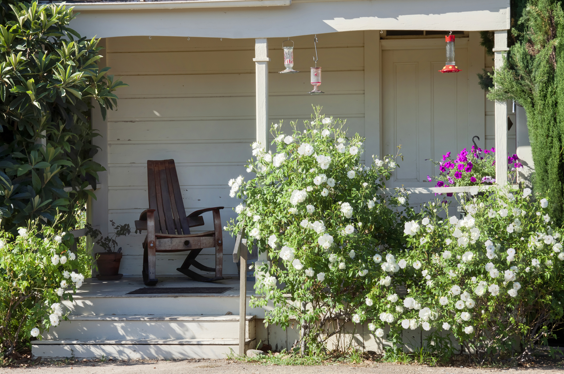 19 _MG_7702adjust825 FULTON LANE