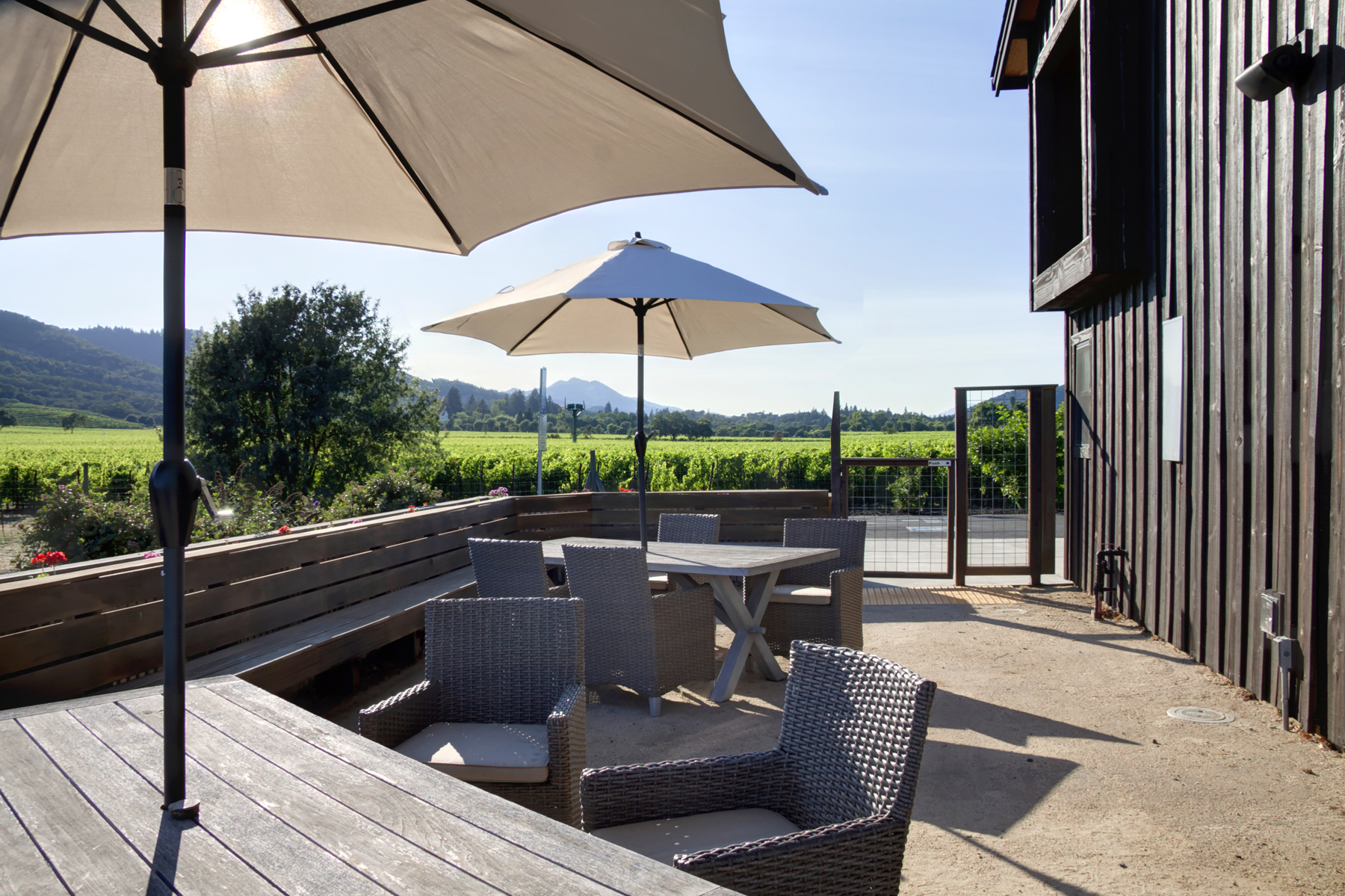 19 _MG_7813adjust6155_SOLANO