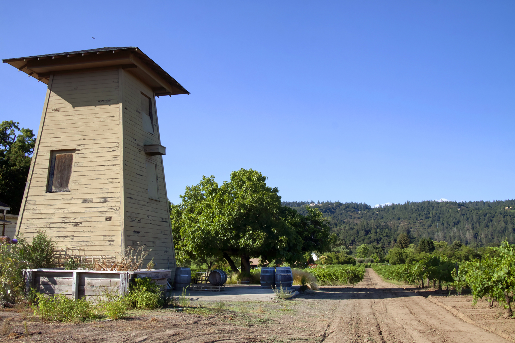 20 _MG_7692adjustEDIT825 FULTON LANE