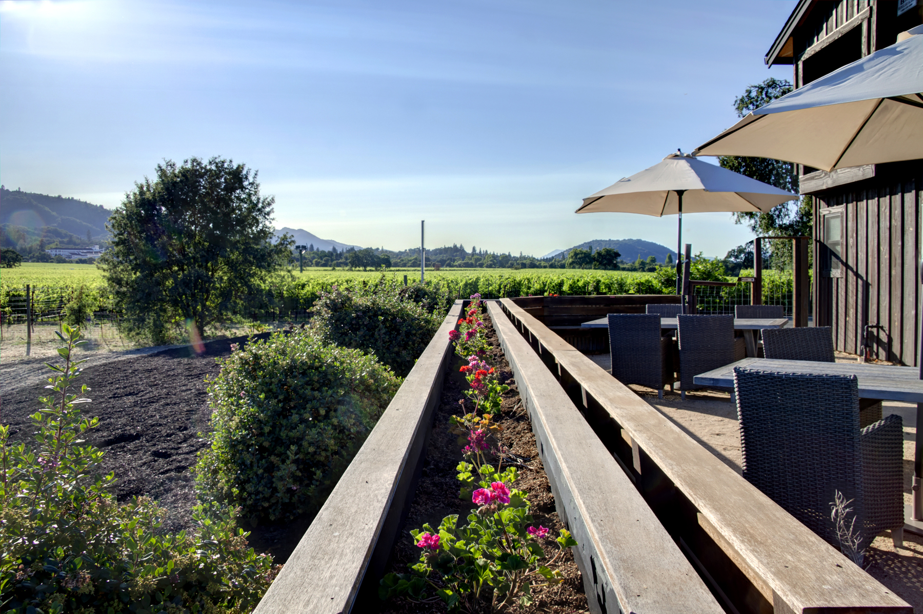 20 _MG_7818adjust6155_SOLANO