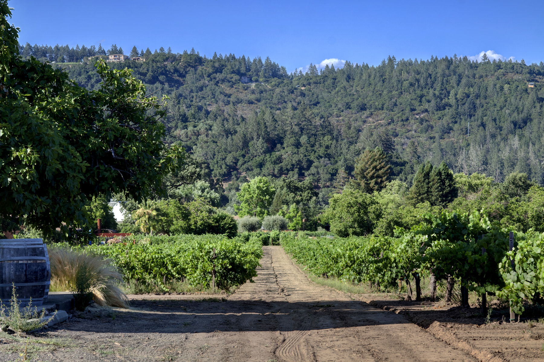 21 _MG_7697adjust825 FULTON LANE