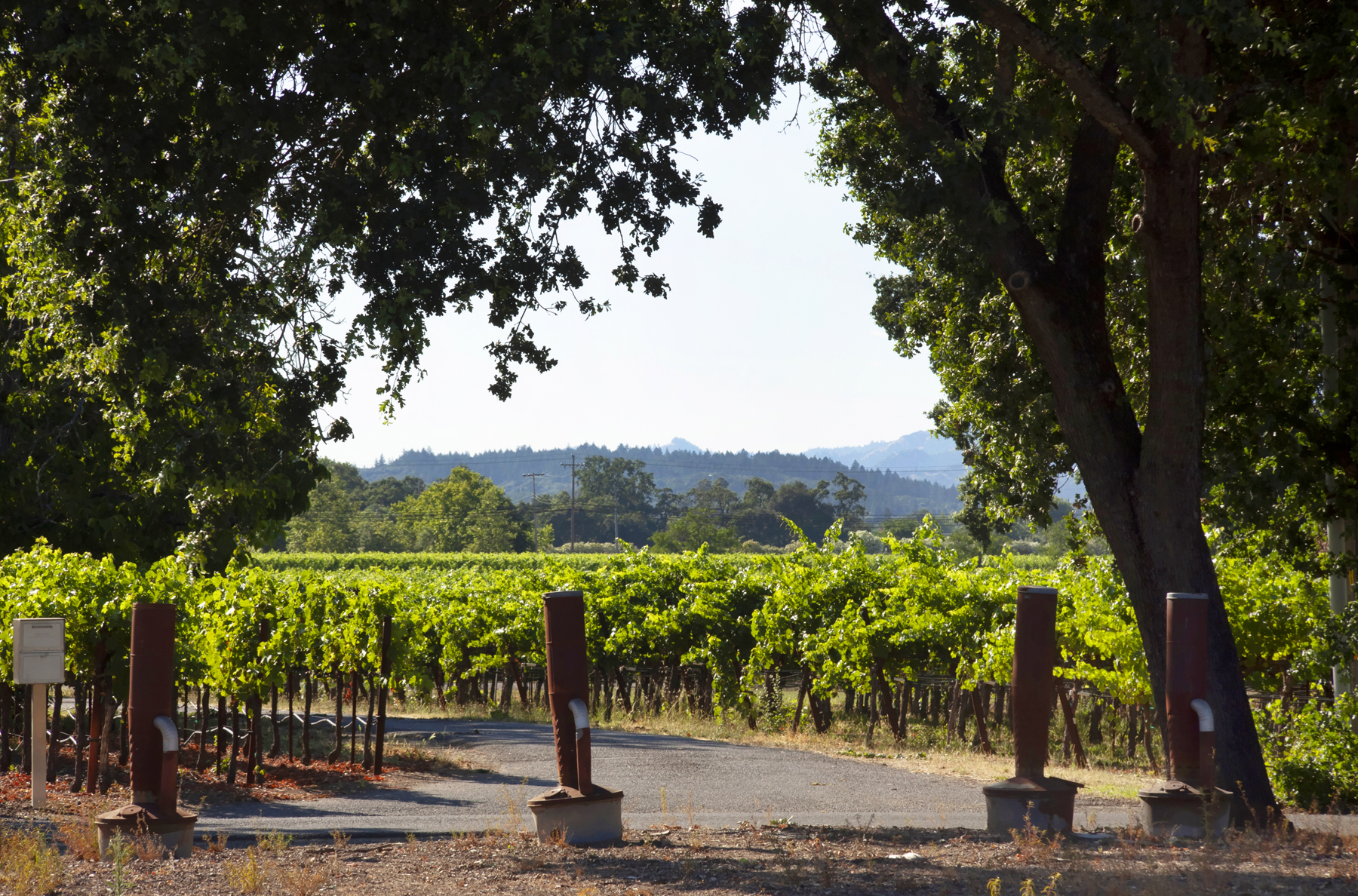 22 _MG_7707adjustEDIT825 FULTON LANE