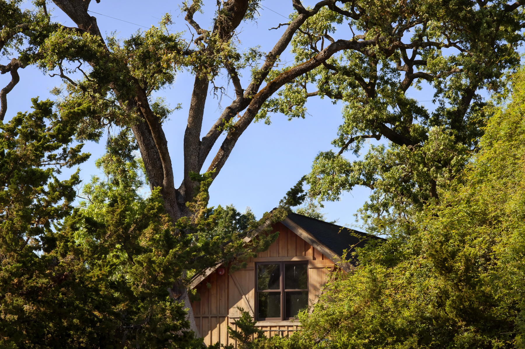 23 _MG_7712adjustEDIT825 FULTON LANE