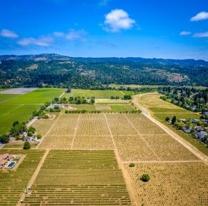 25 DJI_0899_Pano825 FULTON LANE