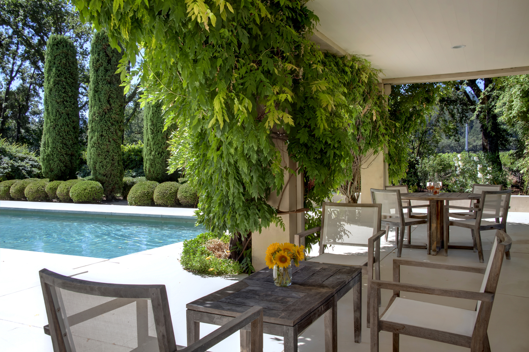 26 - _MG_8491adjust- 1110BaleLane