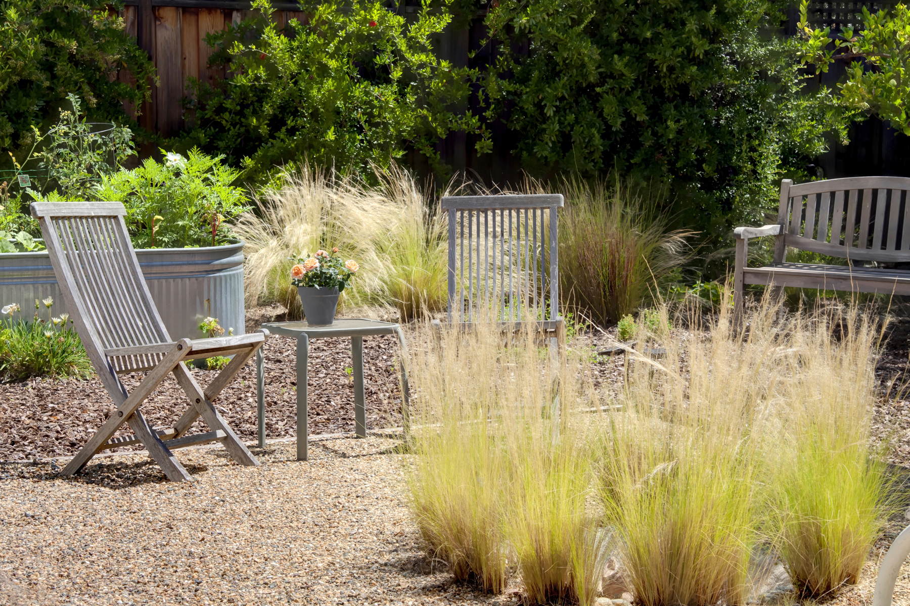 31 _MG_7528adjust1859_MADRONA