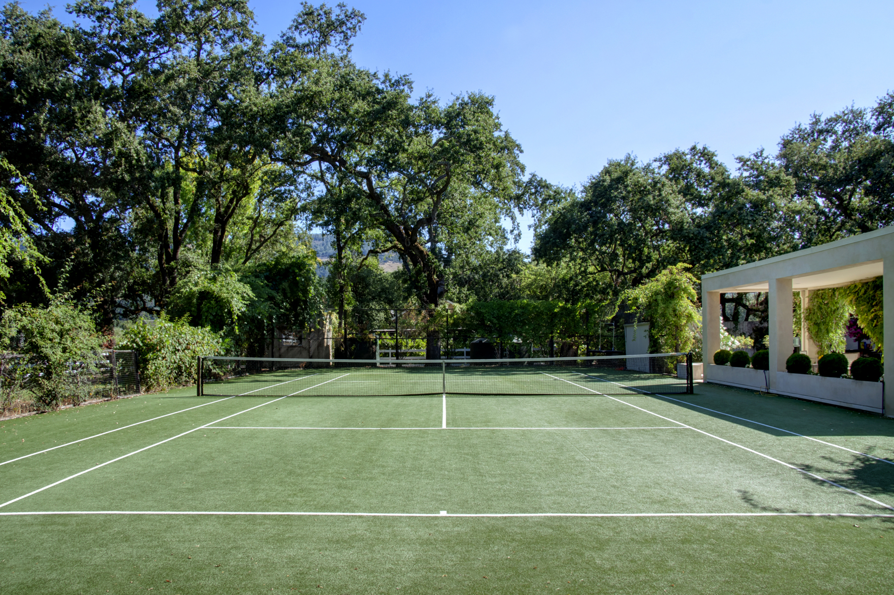 31 - _MG_8318adjust- 1110BaleLane