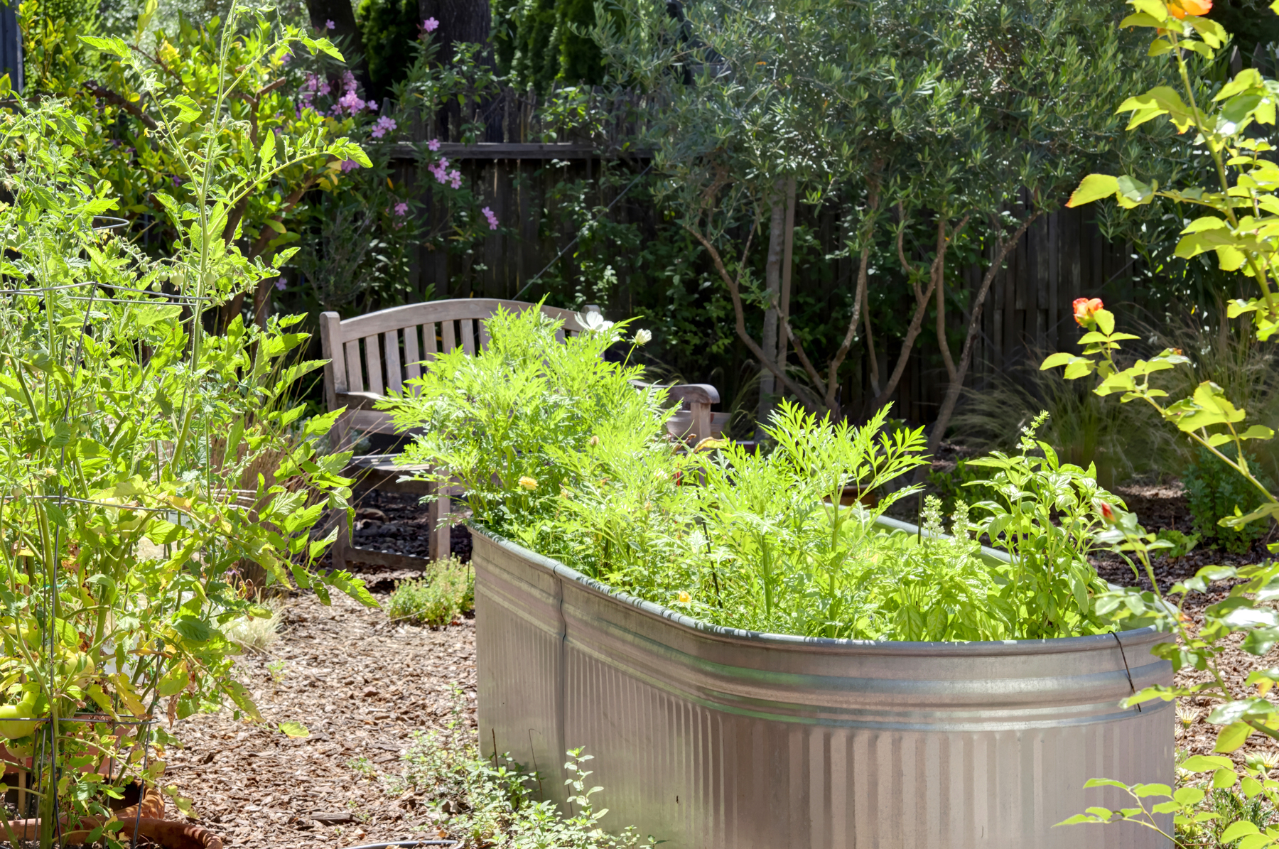 32 _MG_7533adjust1859_MADRONA