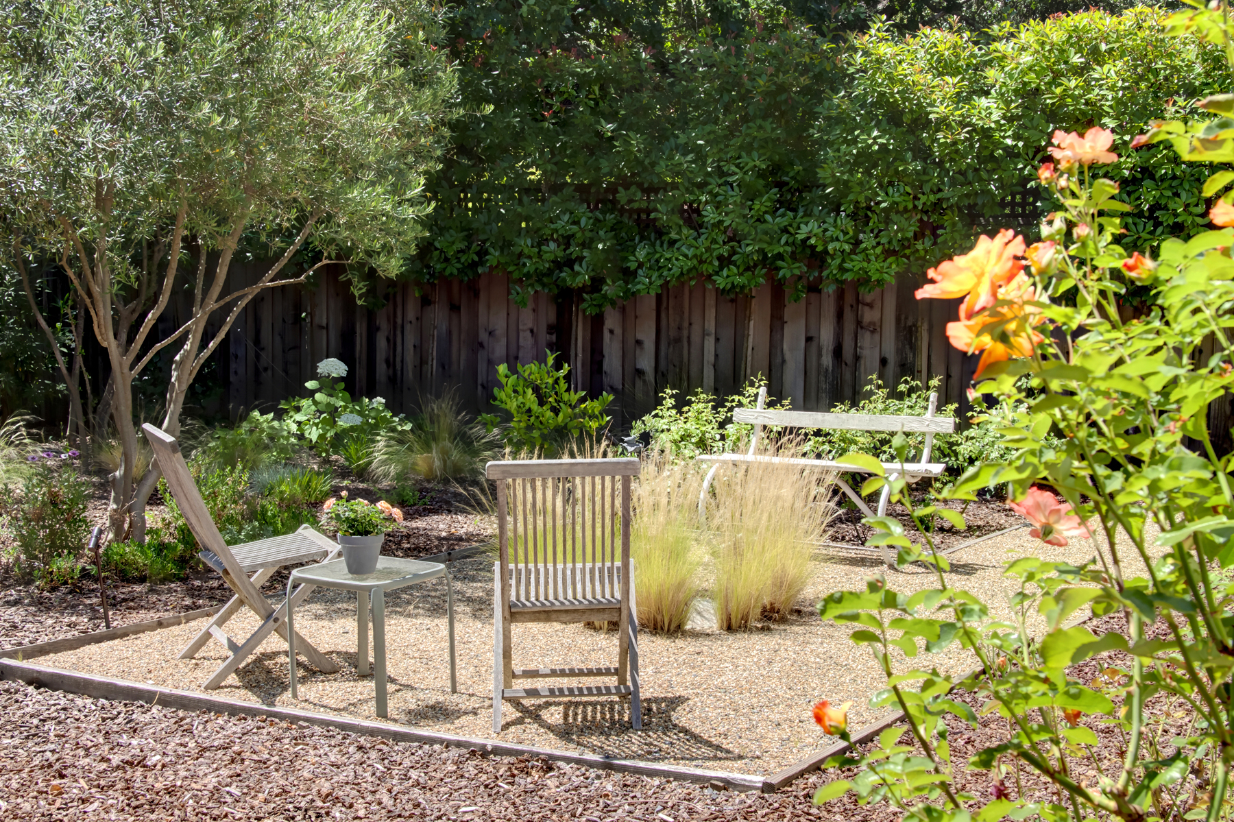 33 _MG_7538adjust1859_MADRONA