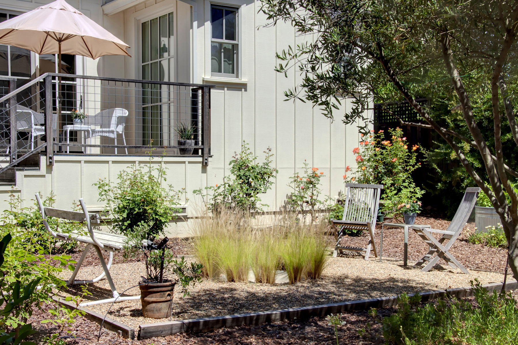 35 _MG_7543adjust1859_MADRONA