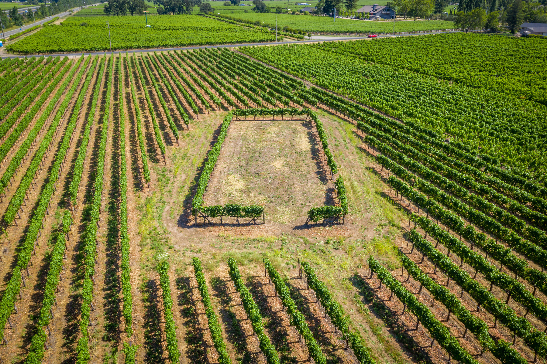 36 DJI_02246155_SOLANO