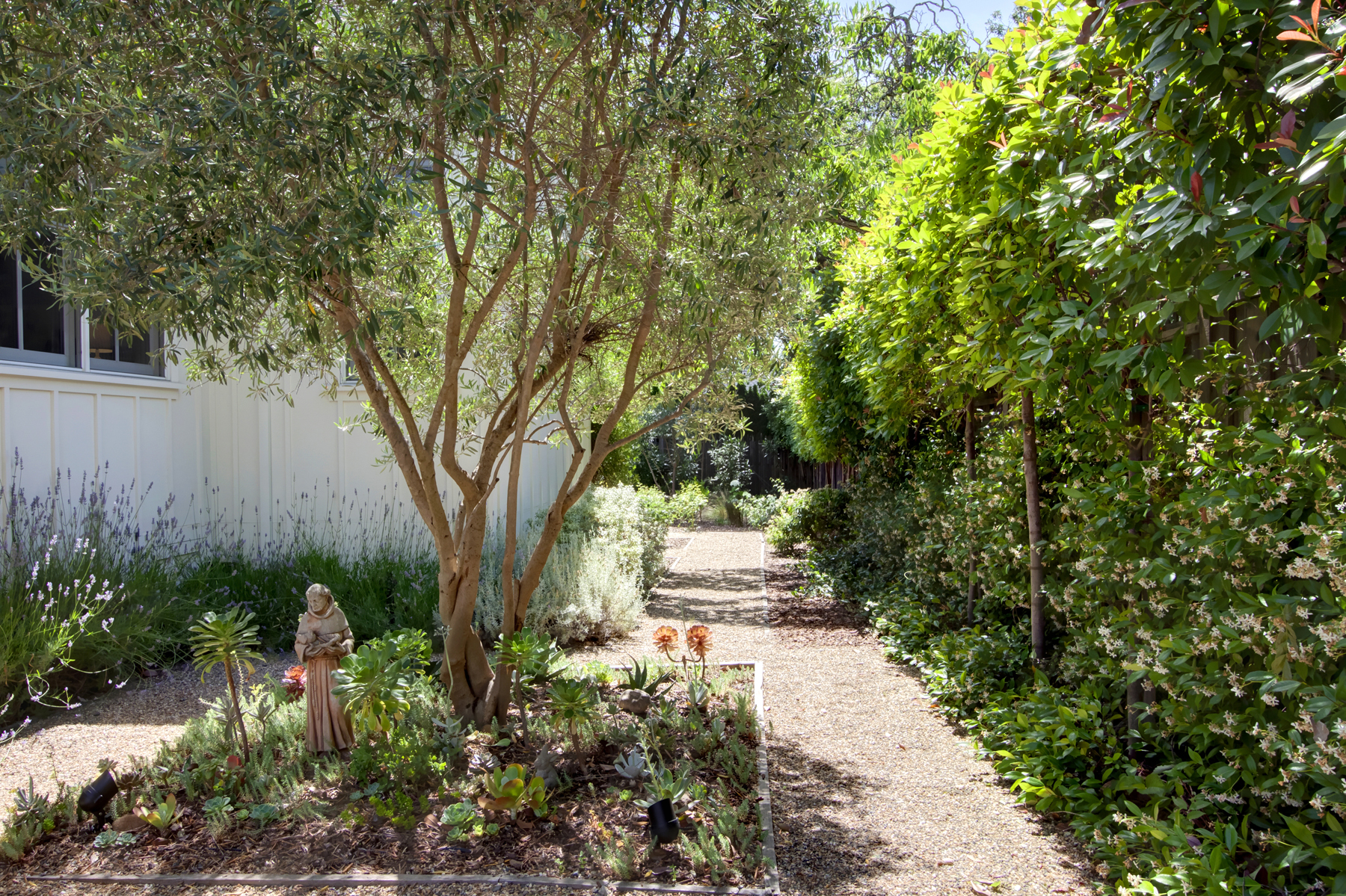 37 _MG_7508adjust1859_MADRONA