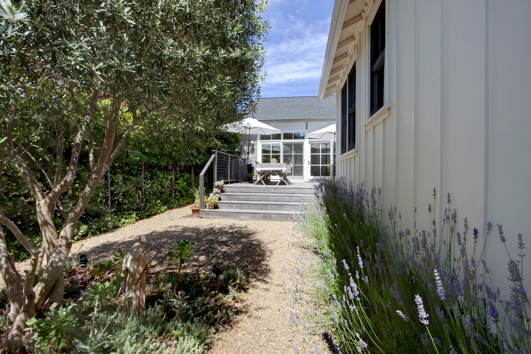 38 _MG_7518adjust1859_MADRONA