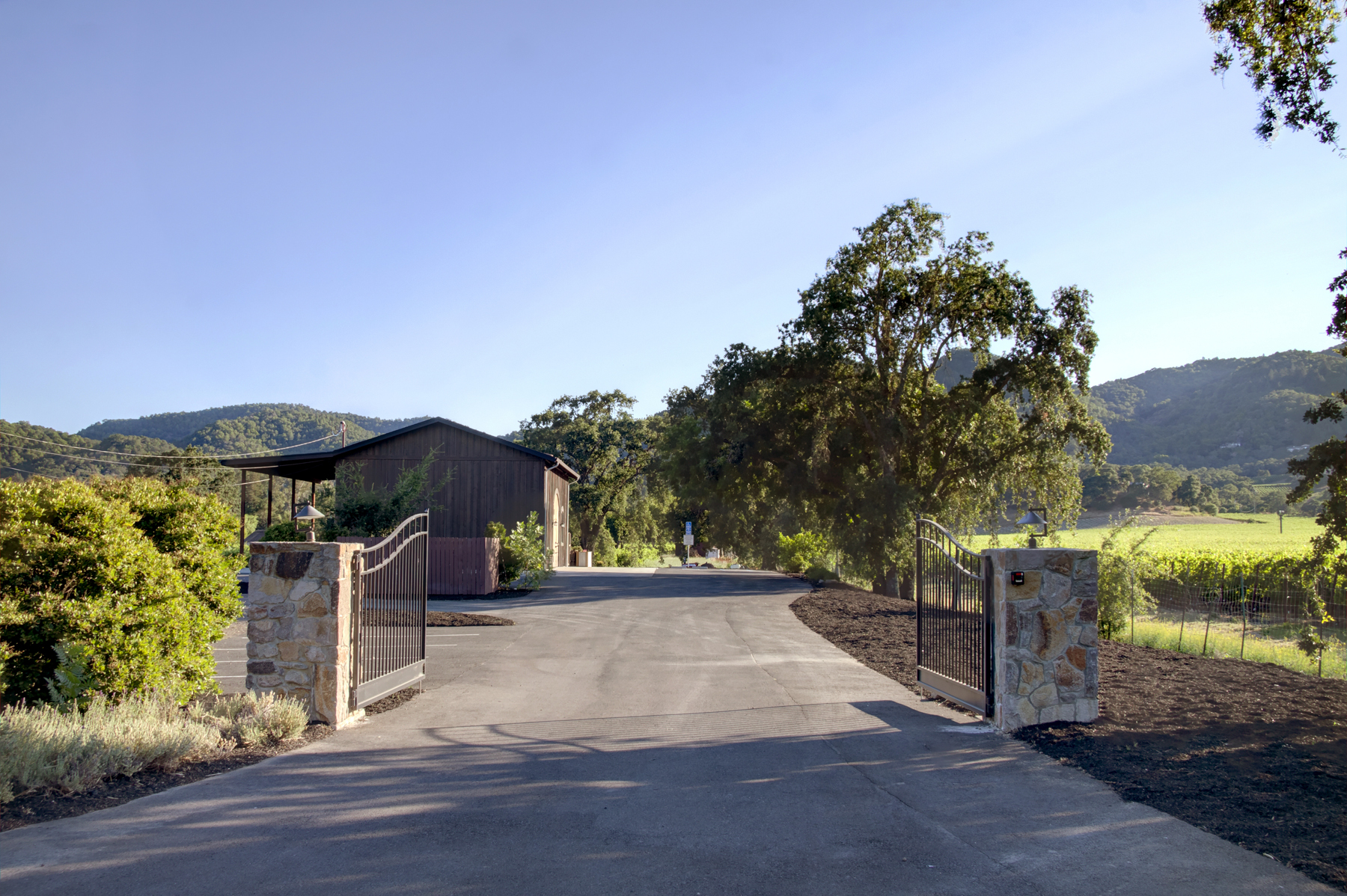 38 _MG_7858adjust6155_SOLANO