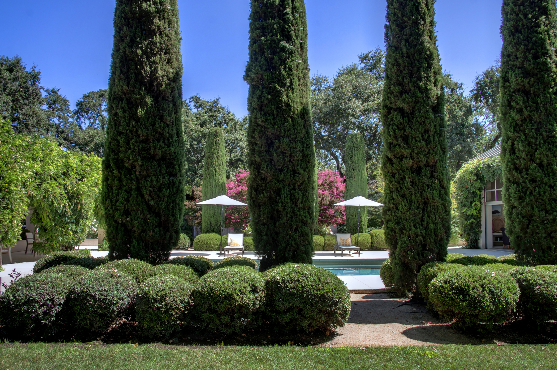 38 - _MG_8449adjust- 1110BaleLane