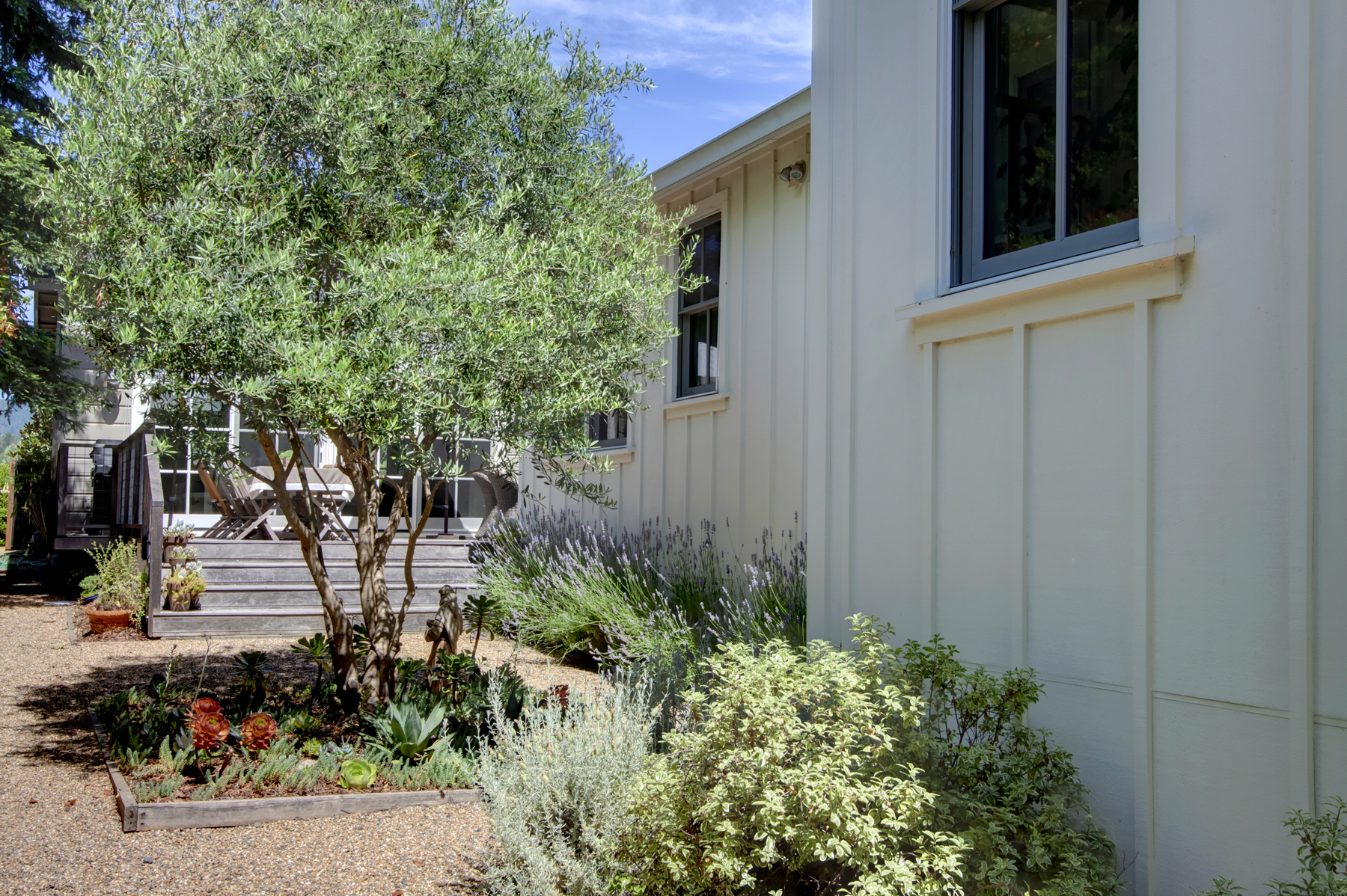 39 _MG_7523adjust1859_MADRONA