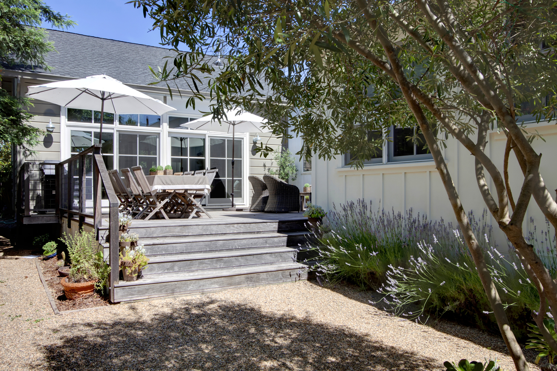 40 _MG_7483adjust1859_MADRONA