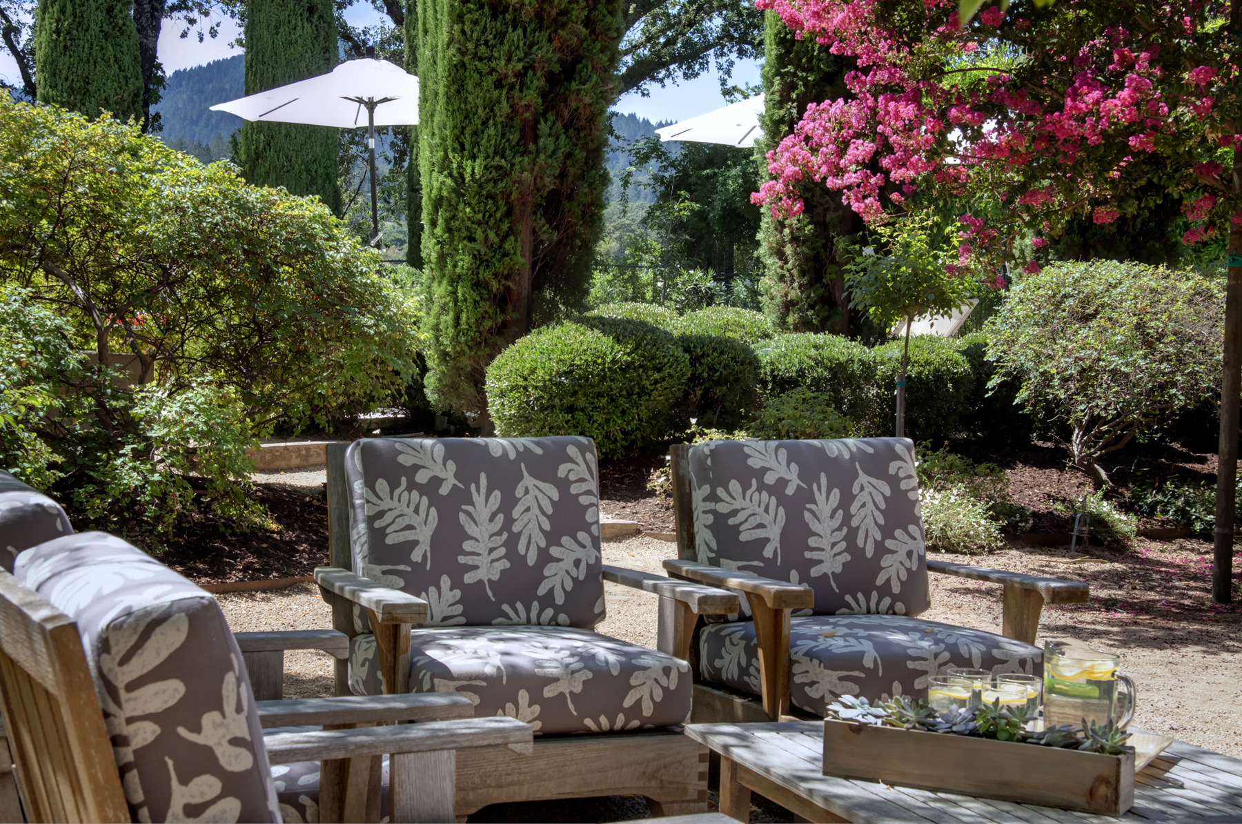 41 - _MG_8501adjust- 1110BaleLane