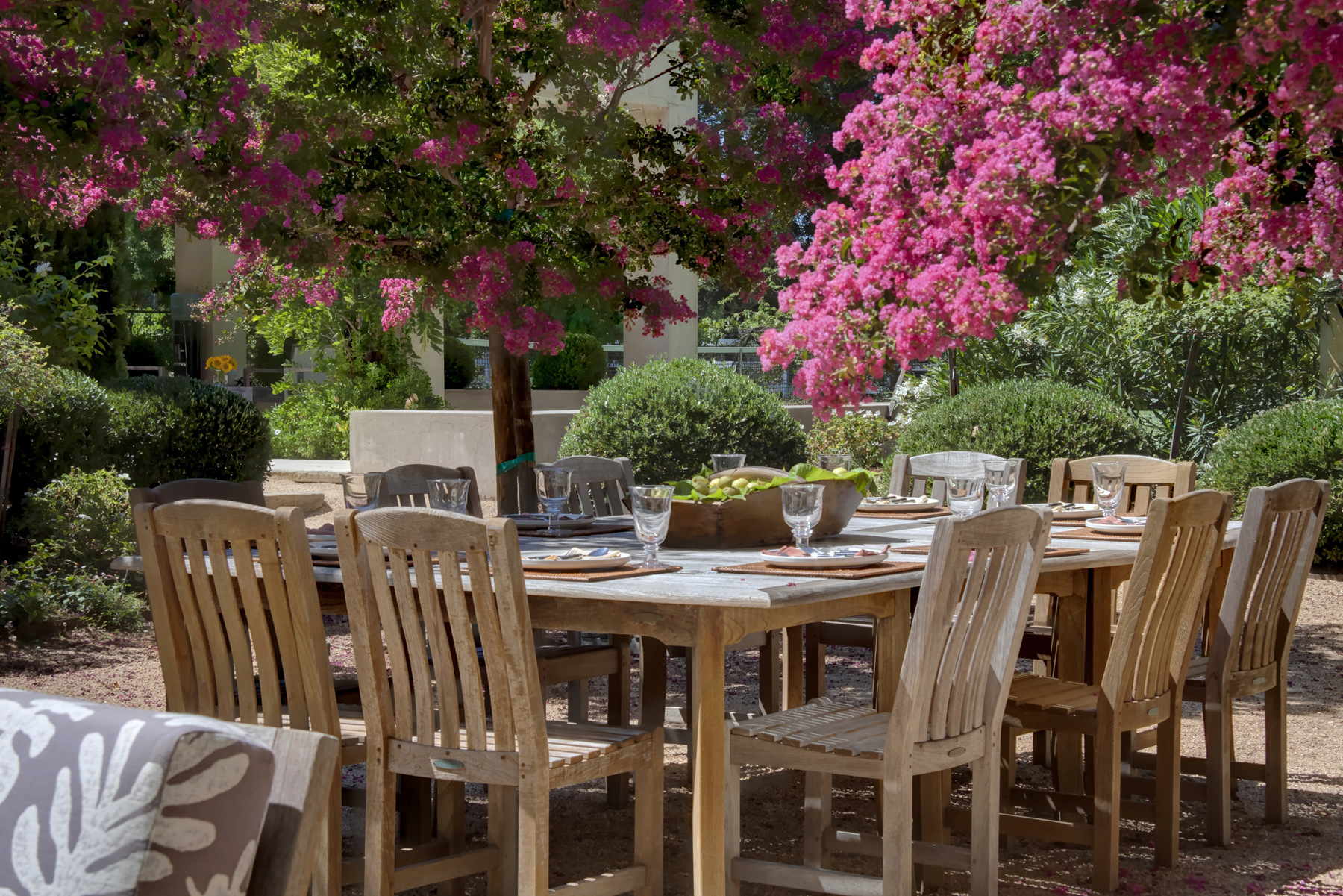 42 - _MG_8541adjust- 1110BaleLane