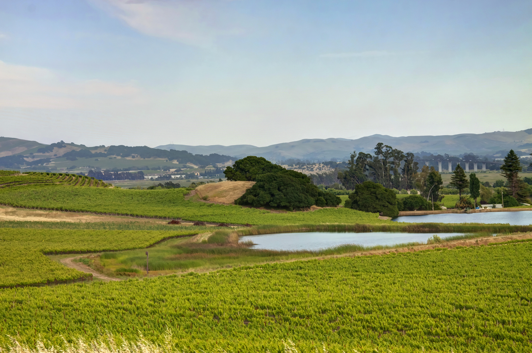 A06 _MG_6793adjustEDIT