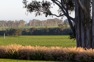 A09 12TOYON7-9083