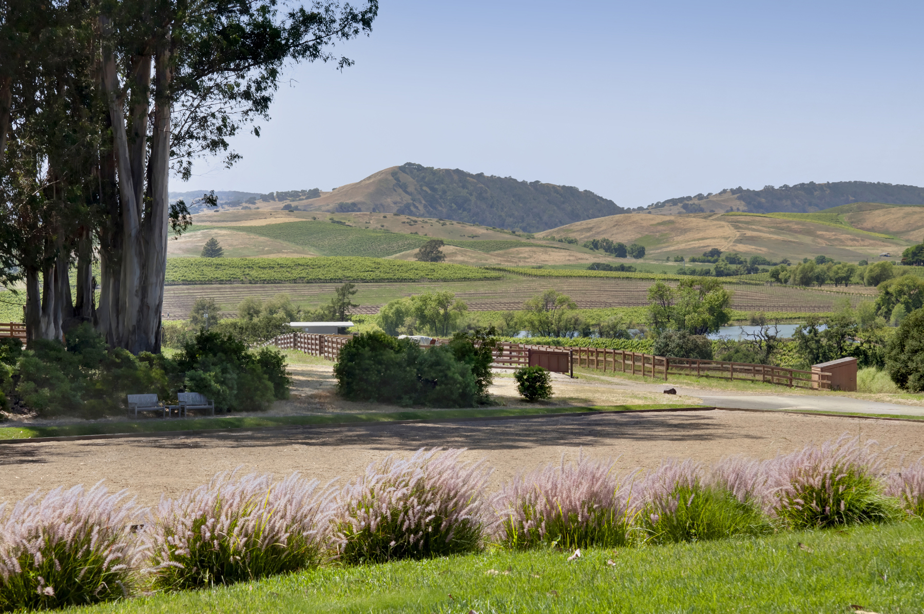 E01 _MG_6616adjustEDIT