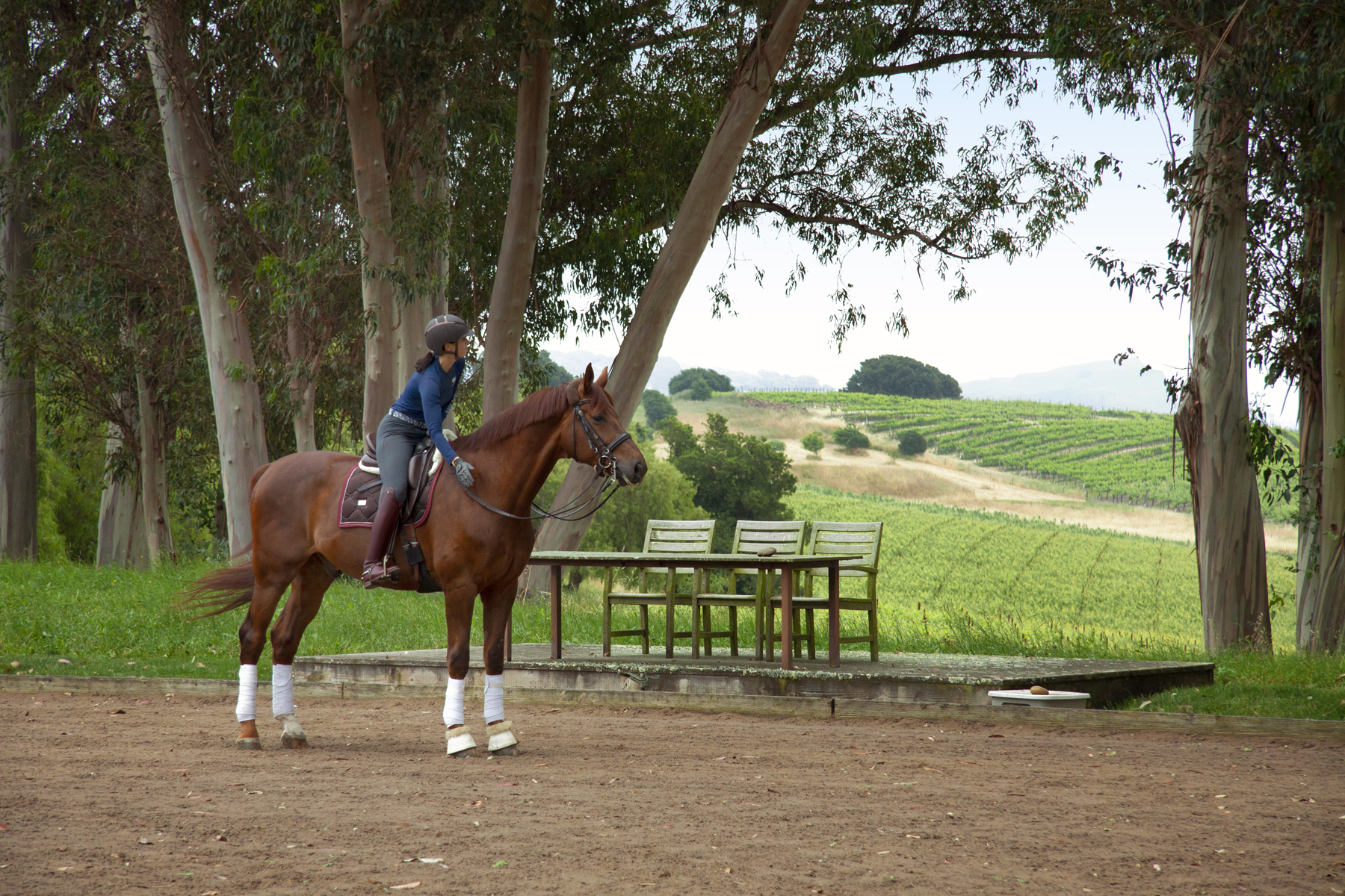 E02 _MG_6241adjustEDIT