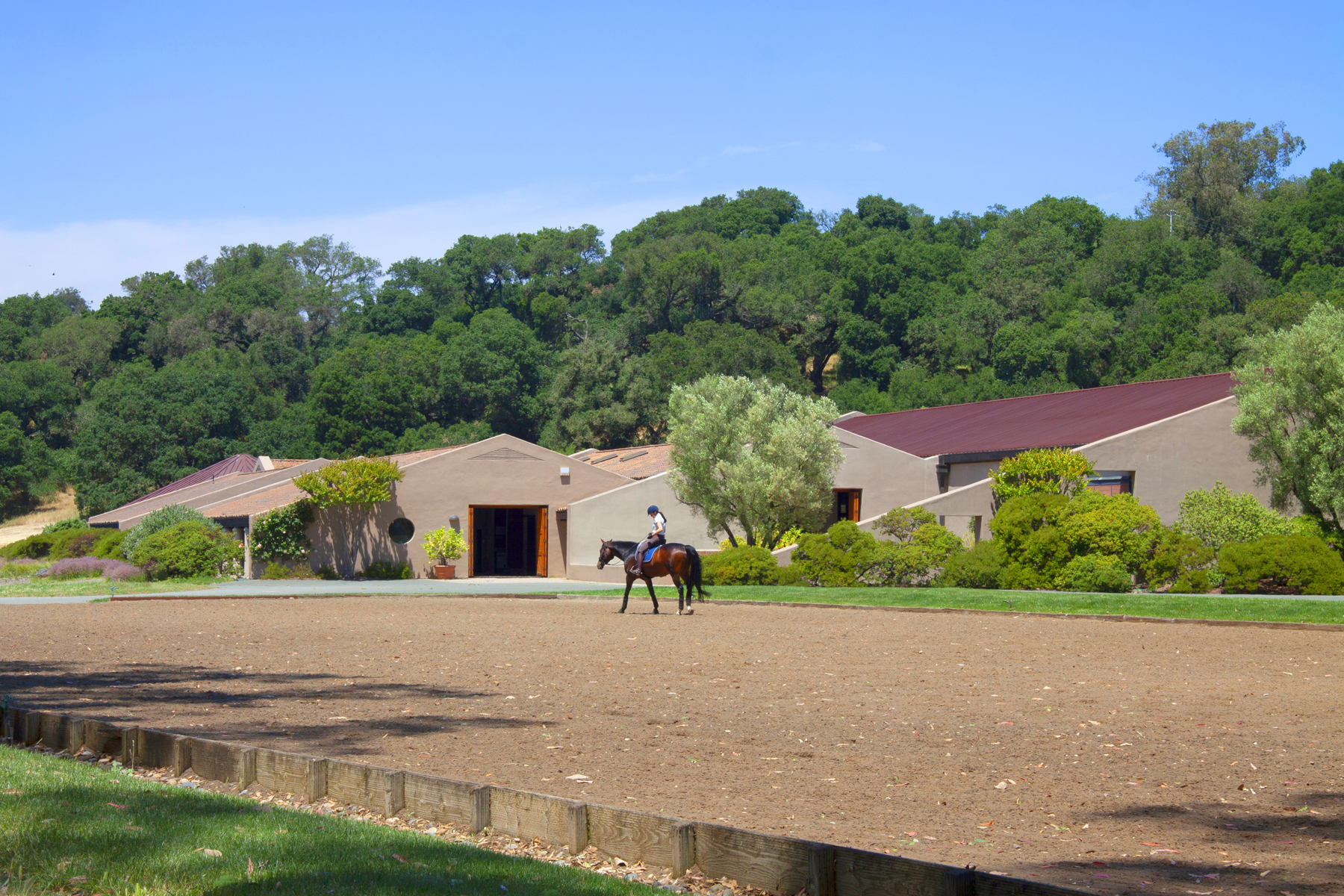 E03 _MG_6498adjustEDIT